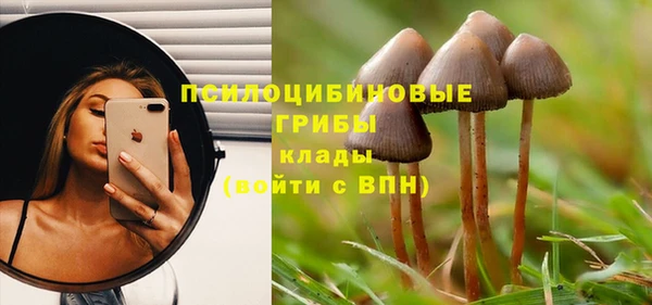 мяу мяу кристалл Лабытнанги