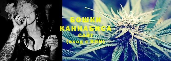 дживик Лагань